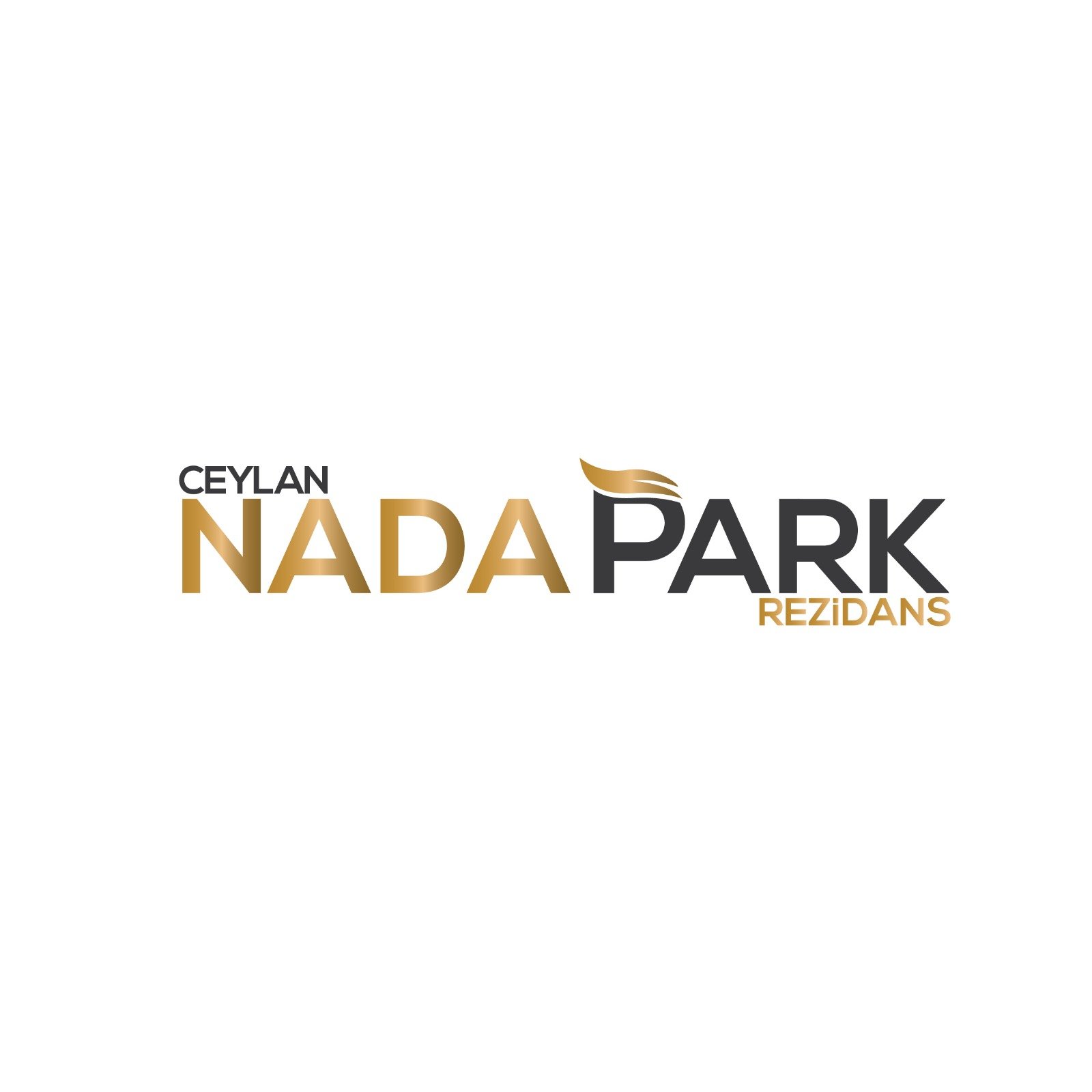 Logo Tasarımı