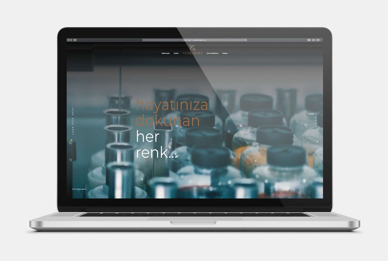 Web Tasarımı
